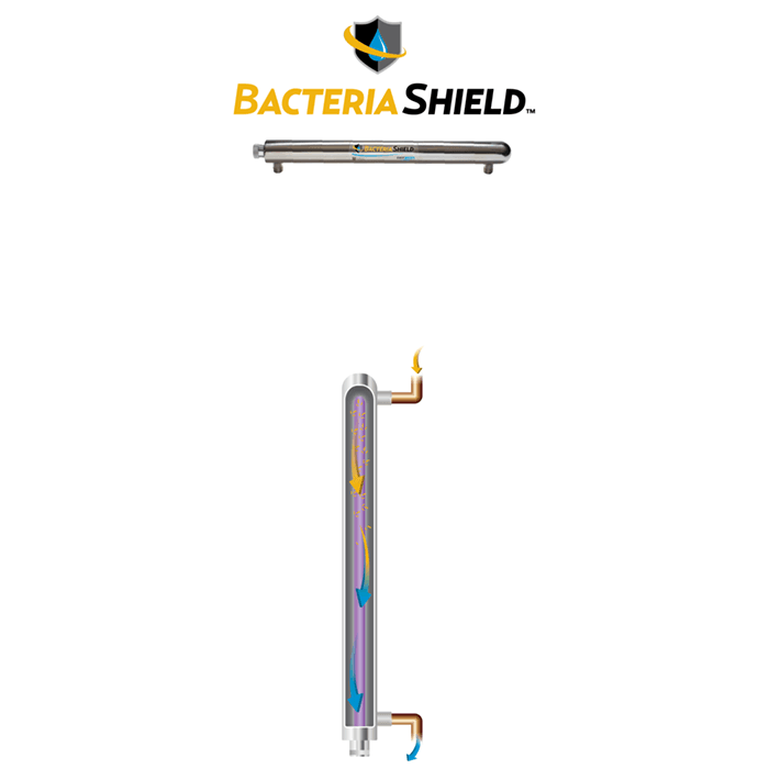 bacteria shield