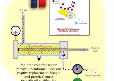 Diagram of Phoenix membrane oil purifier process showing flow of contaminated oil through membrane separation stages