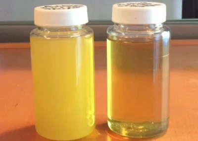 Before and after samples of oil processed through Phoenix membrane oil purifier showing contaminant removal and clarity improvement