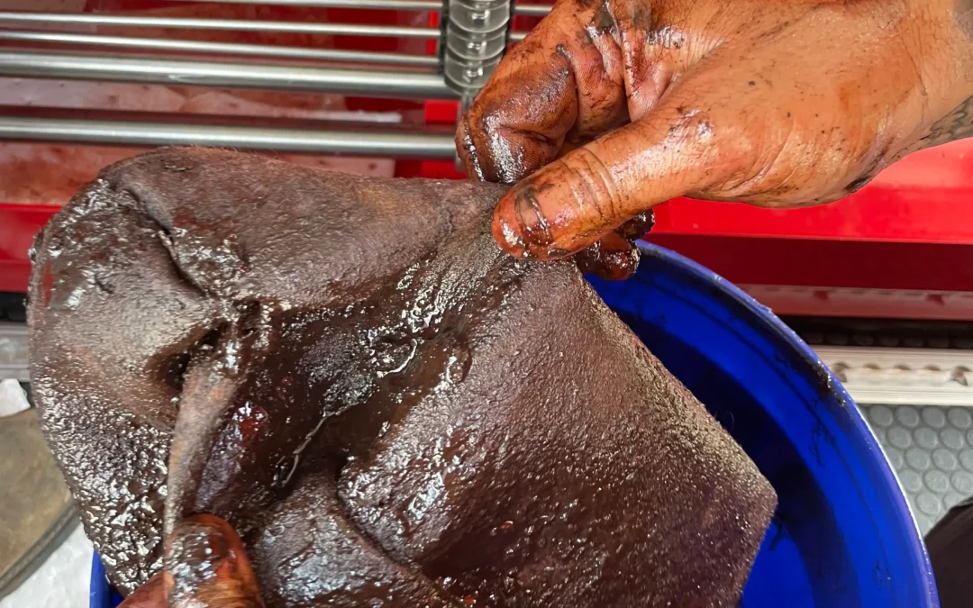 5 Warning Signs Your Diesel Fuel Needs Polishing