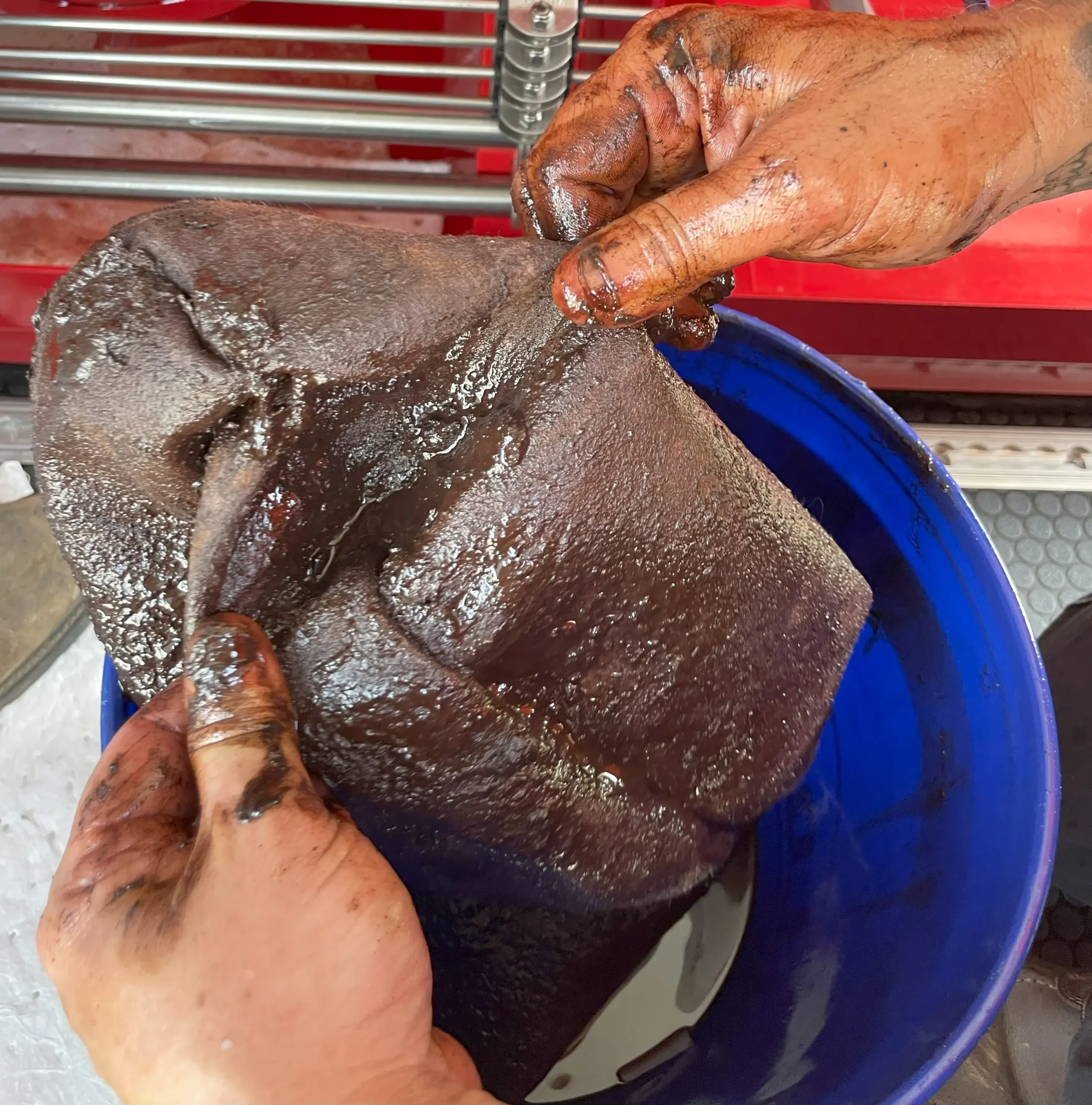 Bag Filter after Diesel Fuel Polishing Service Bag Filter after Fuel Polishing Service