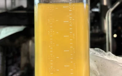 Case Study: Emergency Lube Oil Dehydration at East Coast Refinery